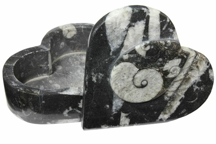 Fossil Goniatite Box (Heart) - Stoneware #123546